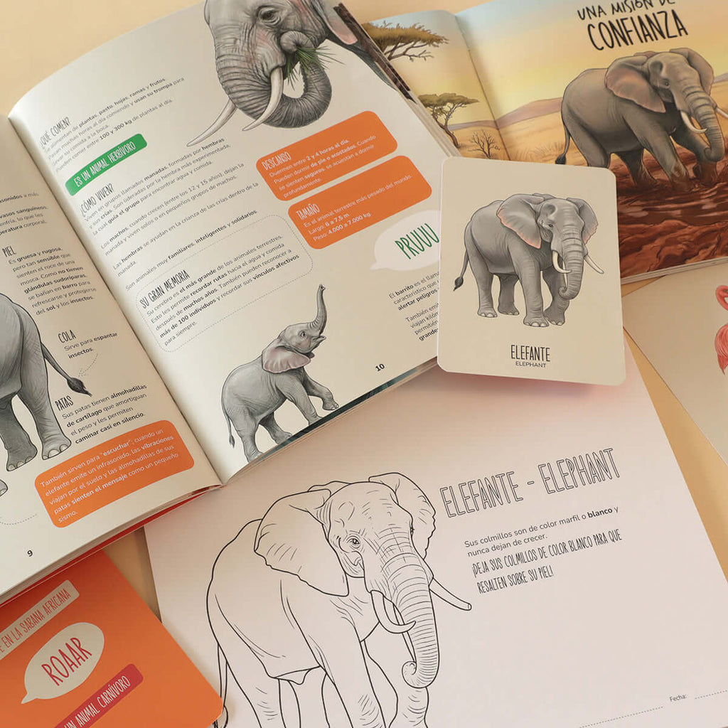 Libros de animales para estimulación temprana de niños de 2 a 6 años. Enciclopedia infantil, Cuentos de valores y emociones, Flash Cards, Libro para colorear.