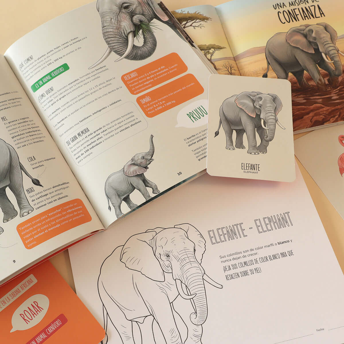 Libros de animales para estimulación temprana de niños de 2 a 6 años. Enciclopedia infantil, Cuentos de valores y emociones, Flash Cards, Libro para colorear.