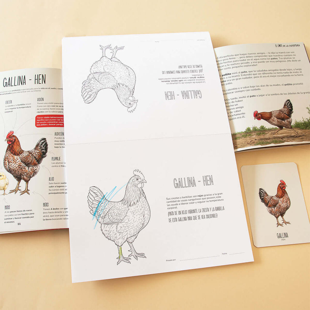 Descubre el mismo animal en 4 formatos diferentes, Wiripedia, Block para pintar, cuentos y wiri cards.