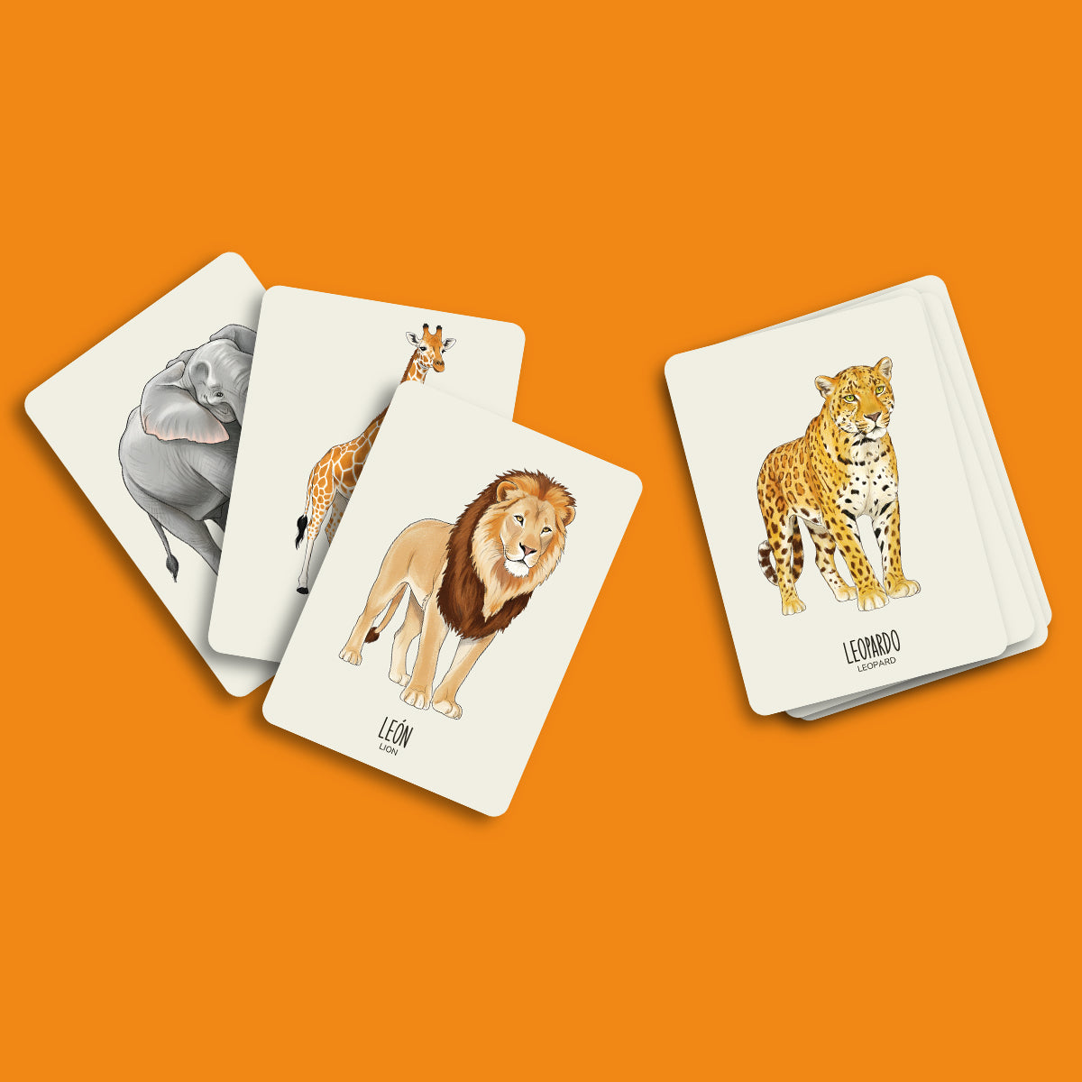 Wiri Cards | ANIMALES DE LA SABANA