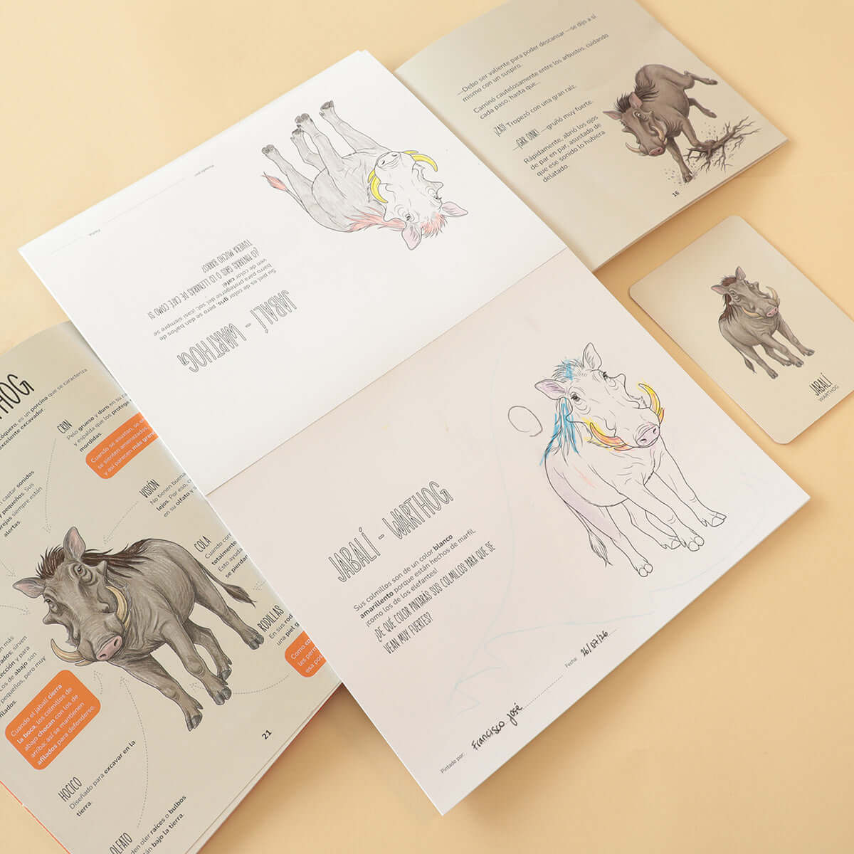 Libros de animales para niños de 2 a 6 años.
