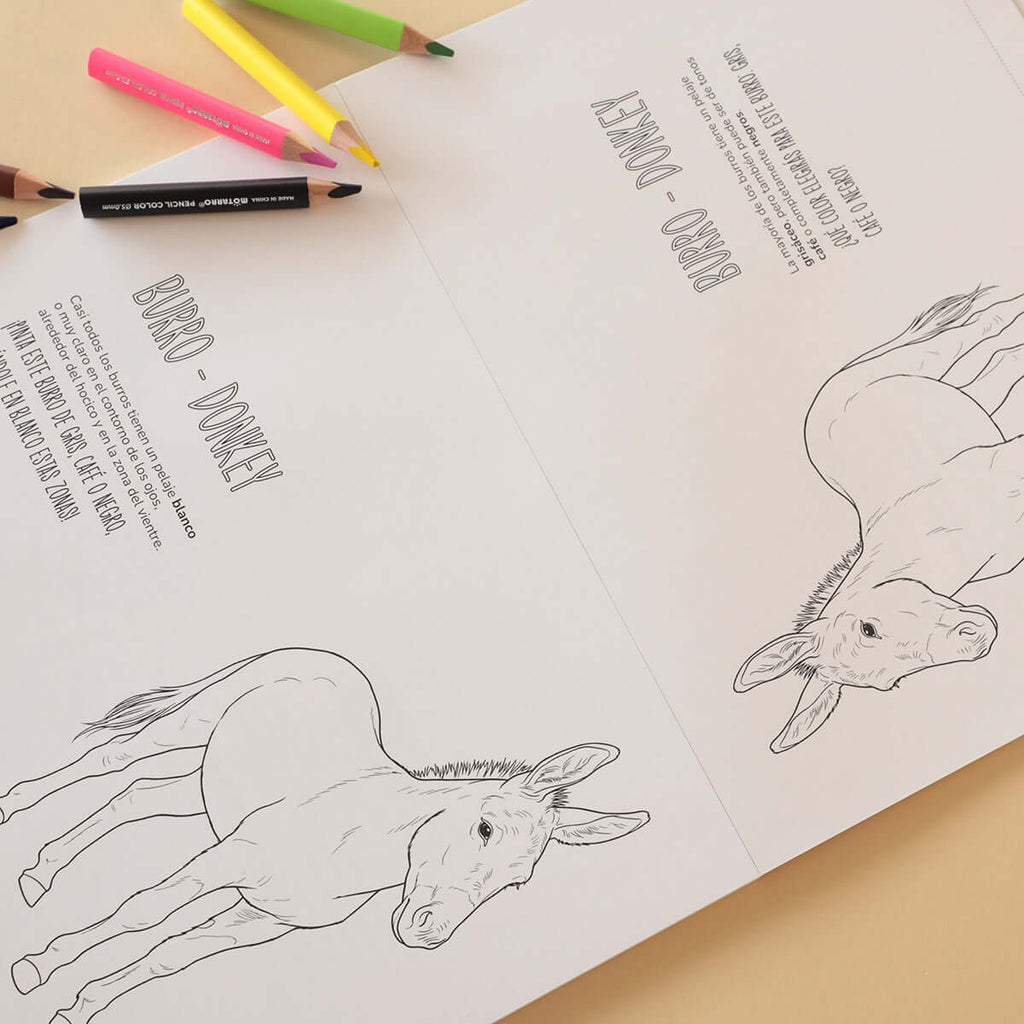 Block para Pintar | ANIMALES DE LA GRANJA