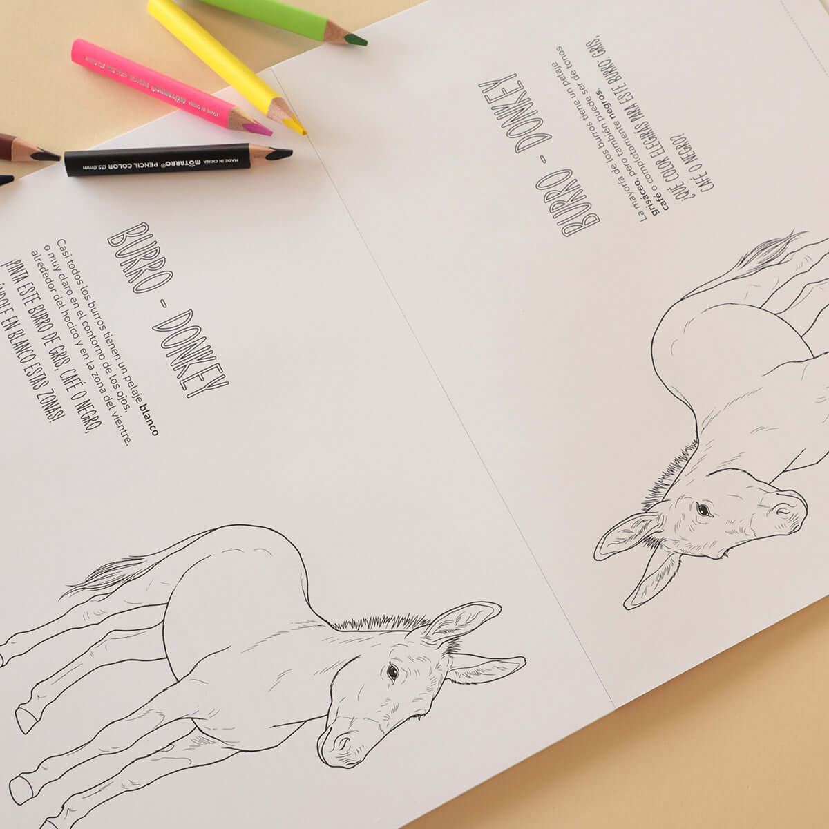 Block para Pintar | ANIMALES DE LA GRANJA