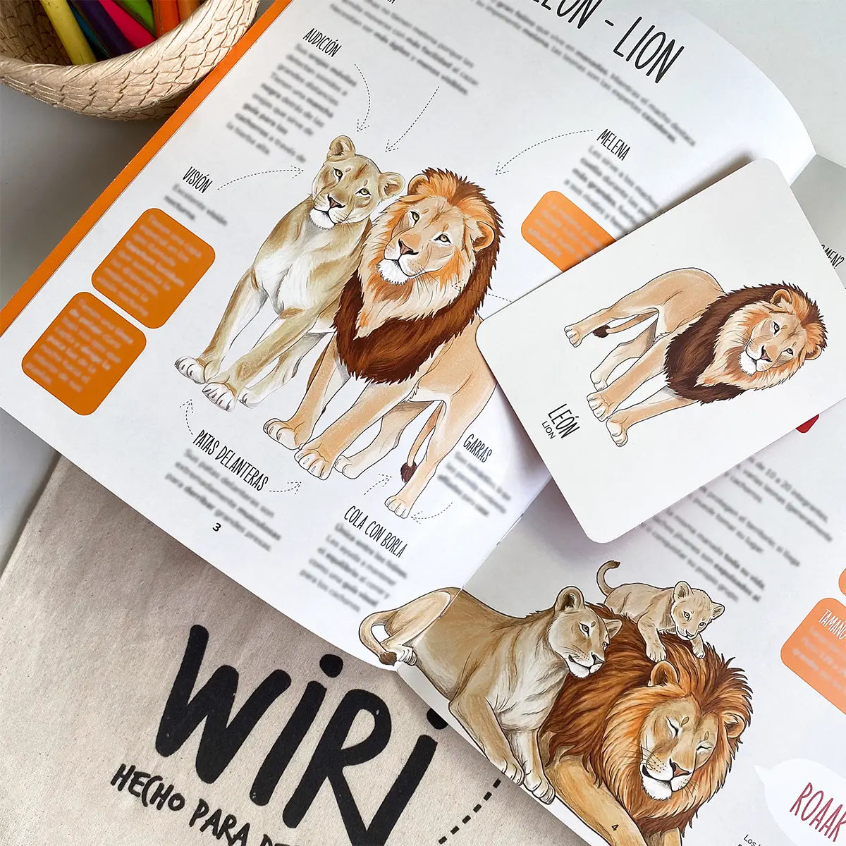 Pack Iniciación | ANIMALES DE LA SABANA (2 productos)