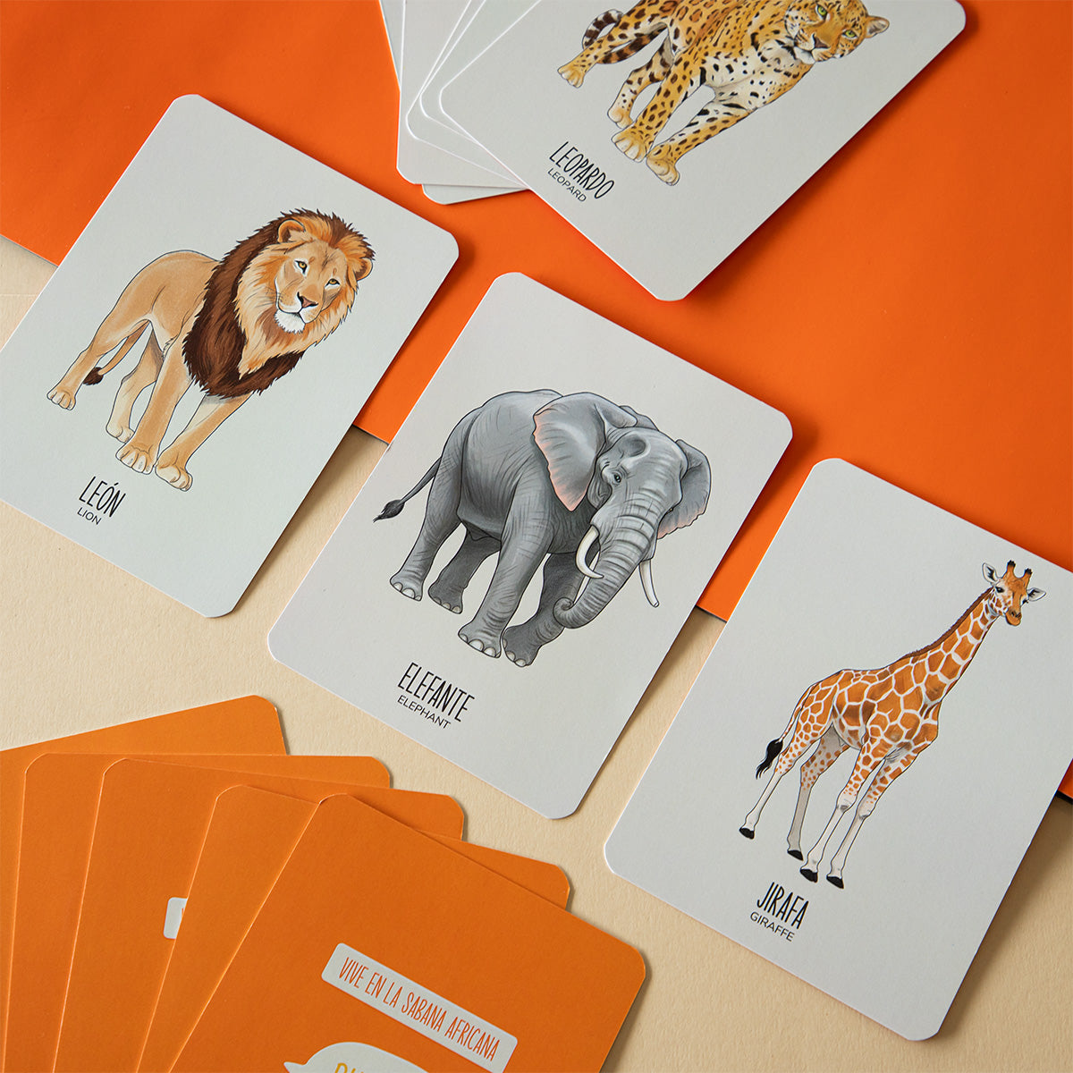 Wiri Cards | ANIMALES DE LA SABANA